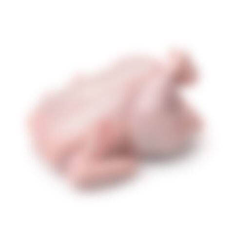 Fresh chicken